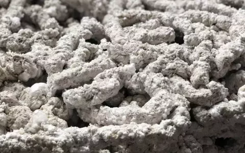塑料泡沫属于什么垃圾？塑料泡沫属于生活垃圾吗