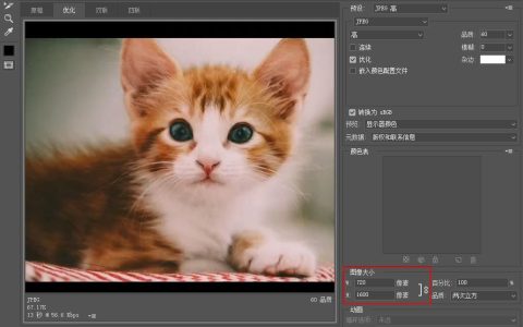 怎样用相片制作表情包?怎么用照片制作表情包