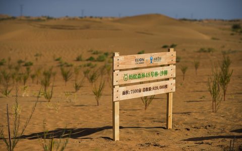 蚂蚁森林的树怎么长大?蚂蚁森林刷能量技巧