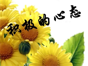 什么是比马龙效应？比马龙效应名词解释