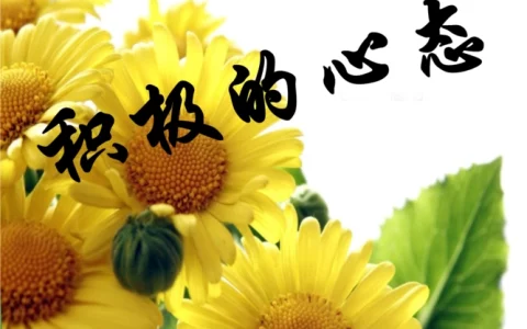 什么是比马龙效应？比马龙效应名词解释