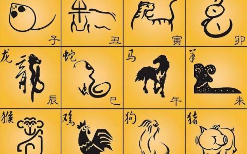 十二生肖中为何没有猫？十二生肖都有什么动物