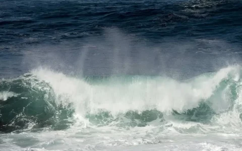 什么是海潮效应？海潮效应对个人的启示