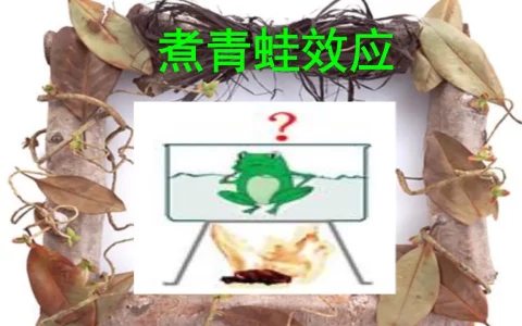 青蛙效应的原理是什么？青蛙效应说明了什么道理