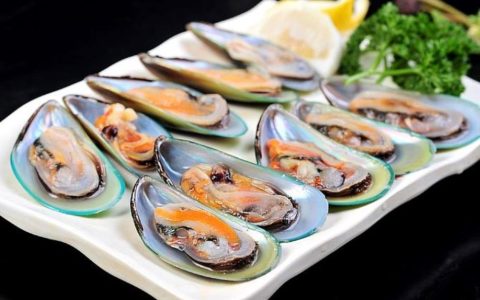 海虹和青口的区别 海虹有什么功效与作用？