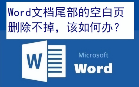word如何删除空白页最后一页  word最后一页空白页删不掉
