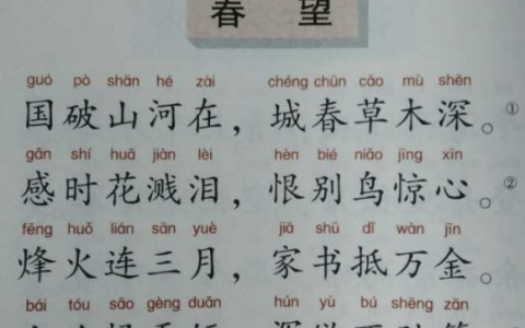 杜甫的春望的历史背景 杜甫的春望表达了什么情感