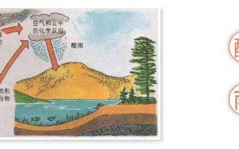 酸雨是怎样形成的 酸雨对环境有哪些危害