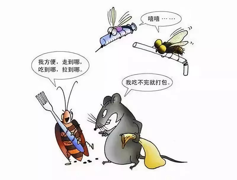 四害是指什么    家中四害是哪四害