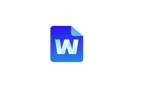 word分节符怎么插入？如何进行排版