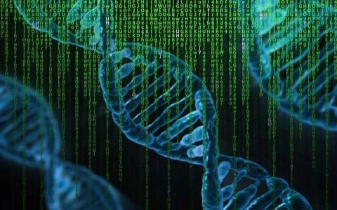dna的分子结构（dna分子的结构是什么形状）