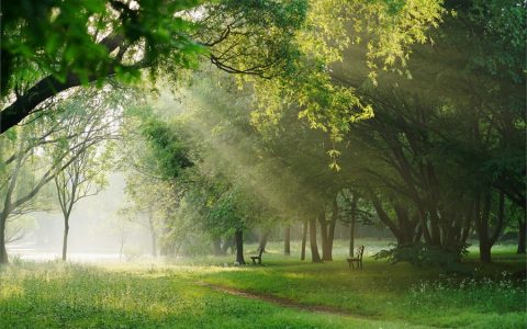 仲夏在古代时令中是指农历几月?七月是仲夏还是盛夏
