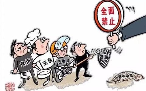山斑鸠是不是保护动物，有什么法律依据？