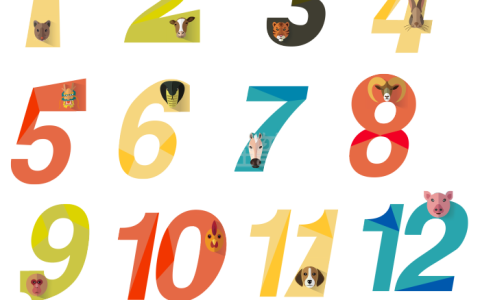 12数字代表什么意思？为什么数字12最好