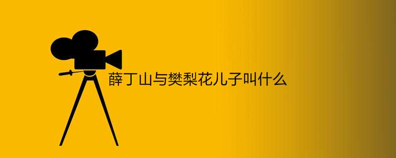 薛丁山与樊梨花儿子叫什么