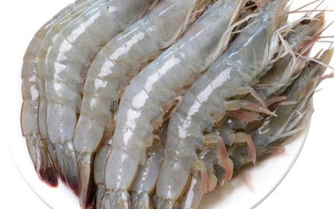 白虾是什么虾？市场上的白虾是什么虾