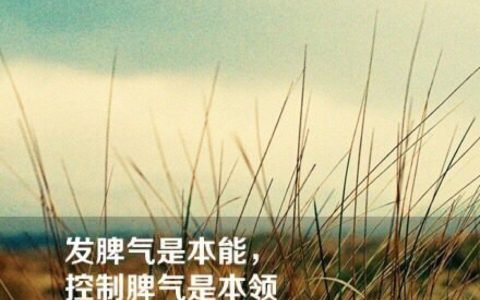 脾气和性格是一回事吗？脾气和性格的区别