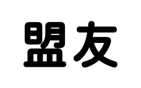 民盟是什么组织？民盟是干什么的