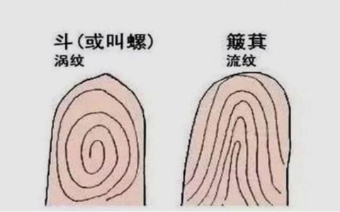 一螺穷二螺富(一螺穷二螺富顺口溜是什么)