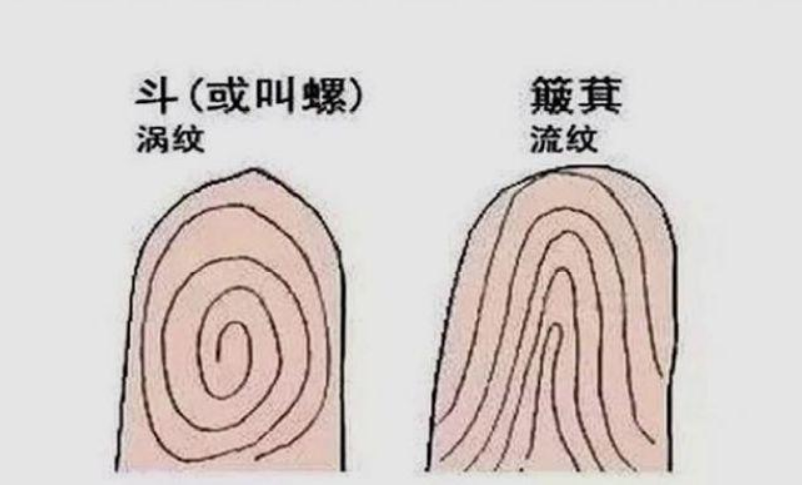 一螺穷二螺富（一螺穷二螺富顺口溜是什么）