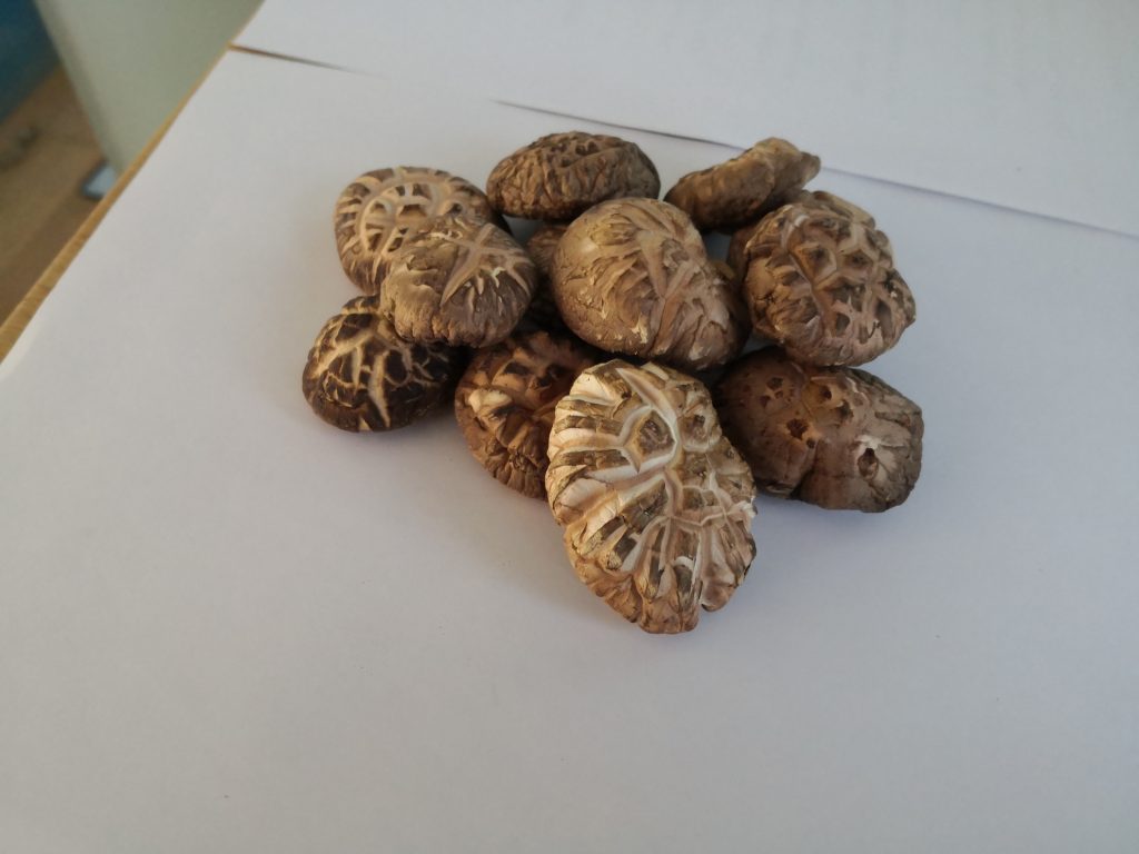 香菇要焯水吗？鲜香菇要焯水吗
