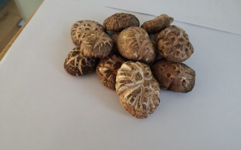 香菇要焯水吗？鲜香菇要焯水吗