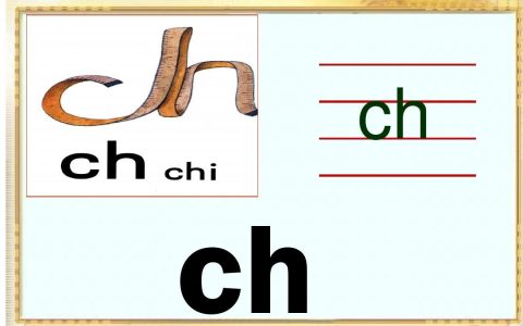 声母和韵母是什么意思？什么是声母什么是韵母