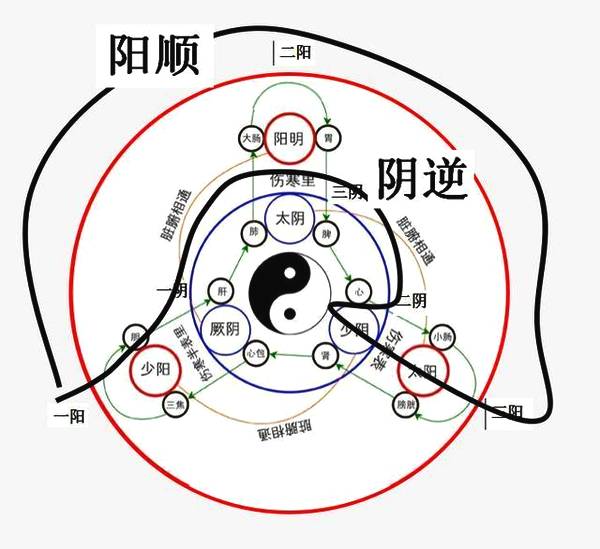 三阴三阳是什么意思？人体三阴三阳指哪些