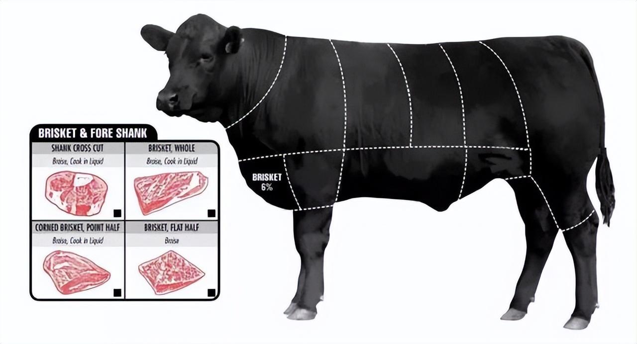 牛排肉是哪个部位的肉，那个部位的最好吃？
