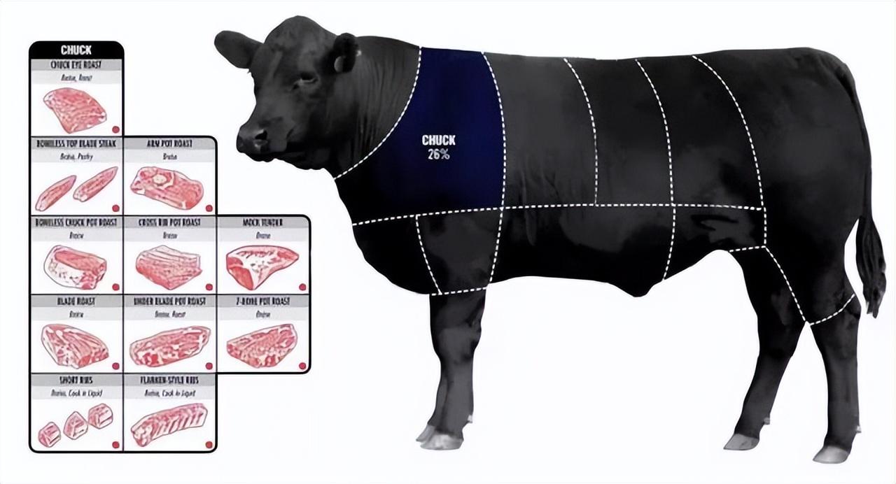 牛排肉是哪个部位的肉，那个部位的最好吃？
