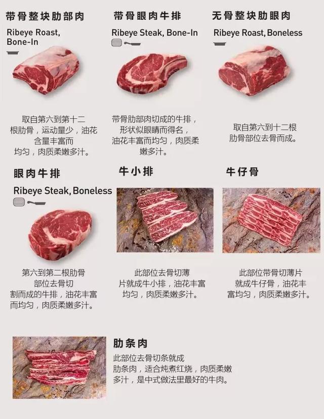 牛排肉是哪个部位的肉，那个部位的最好吃？