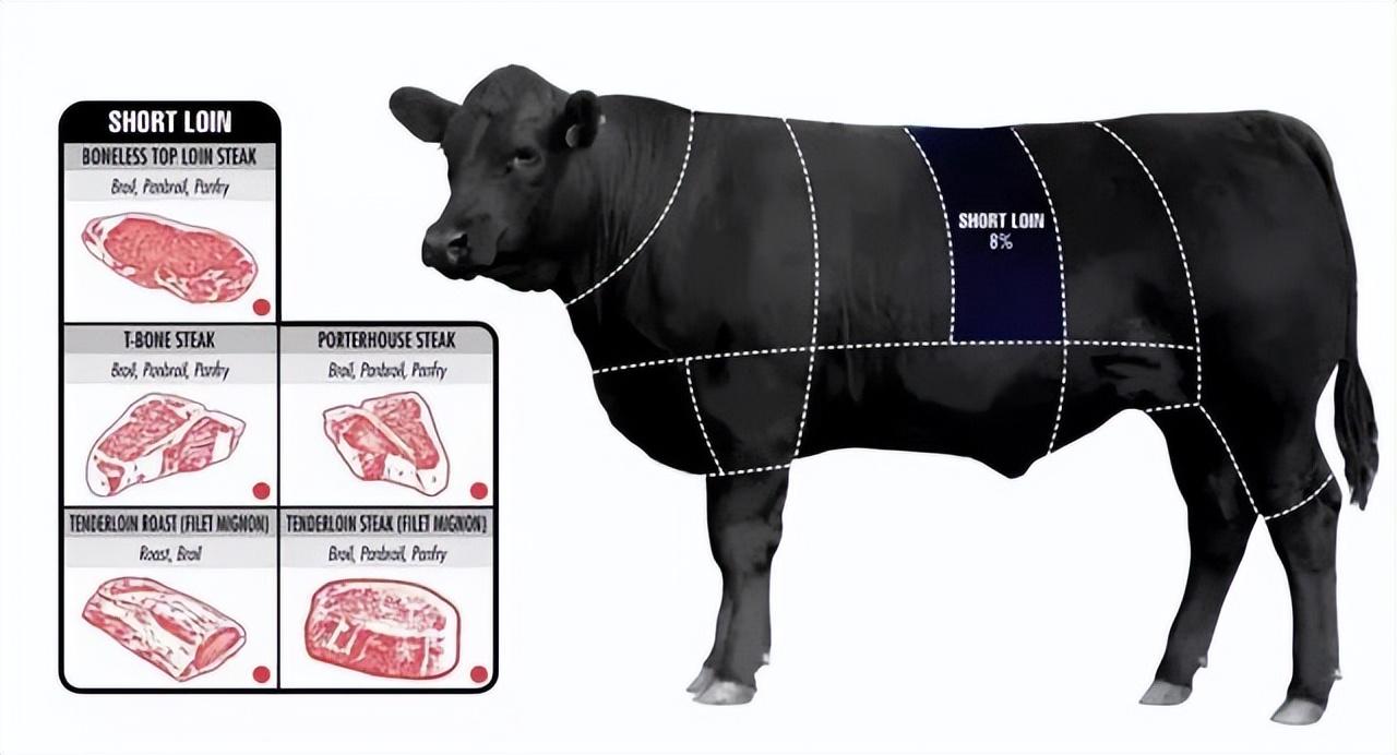 牛排肉是哪个部位的肉，那个部位的最好吃？