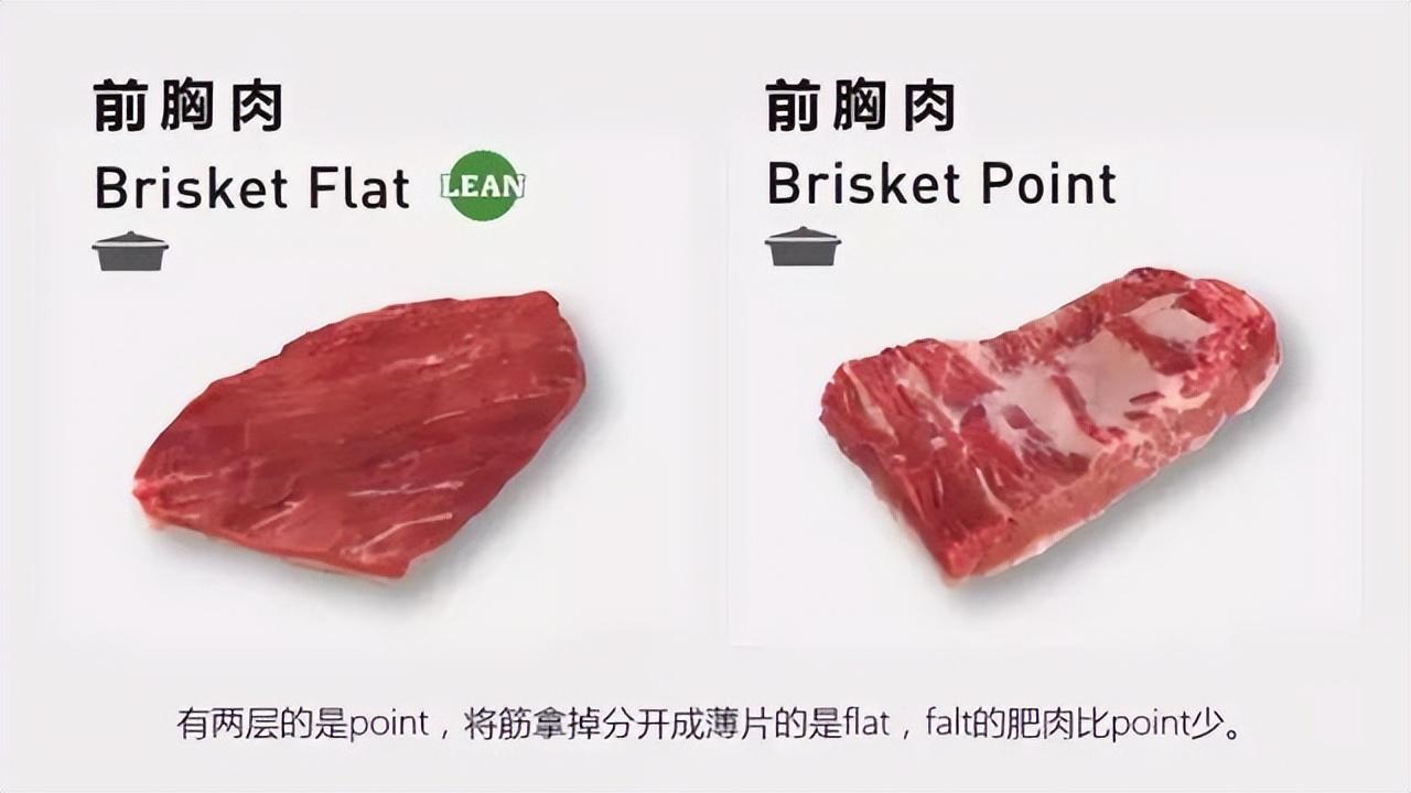 牛排肉是哪个部位的肉，那个部位的最好吃？
