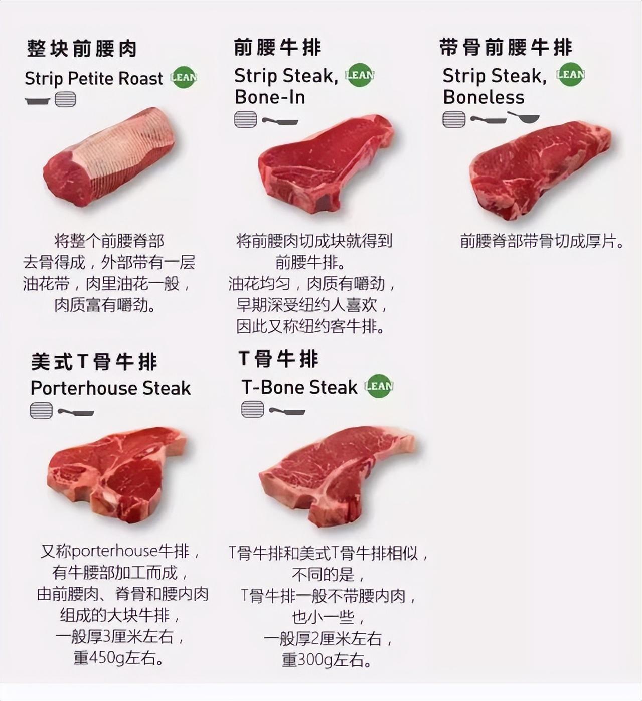 牛排肉是哪个部位的肉，那个部位的最好吃？