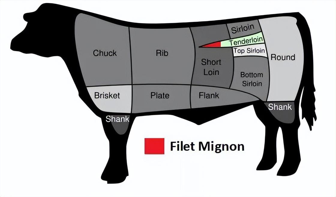 牛排肉是哪个部位的肉，那个部位的最好吃？