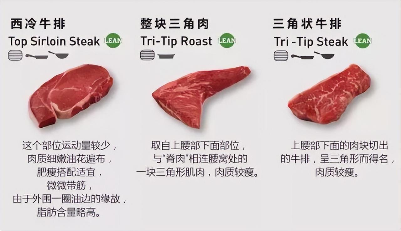 牛排肉是哪个部位的肉，那个部位的最好吃？