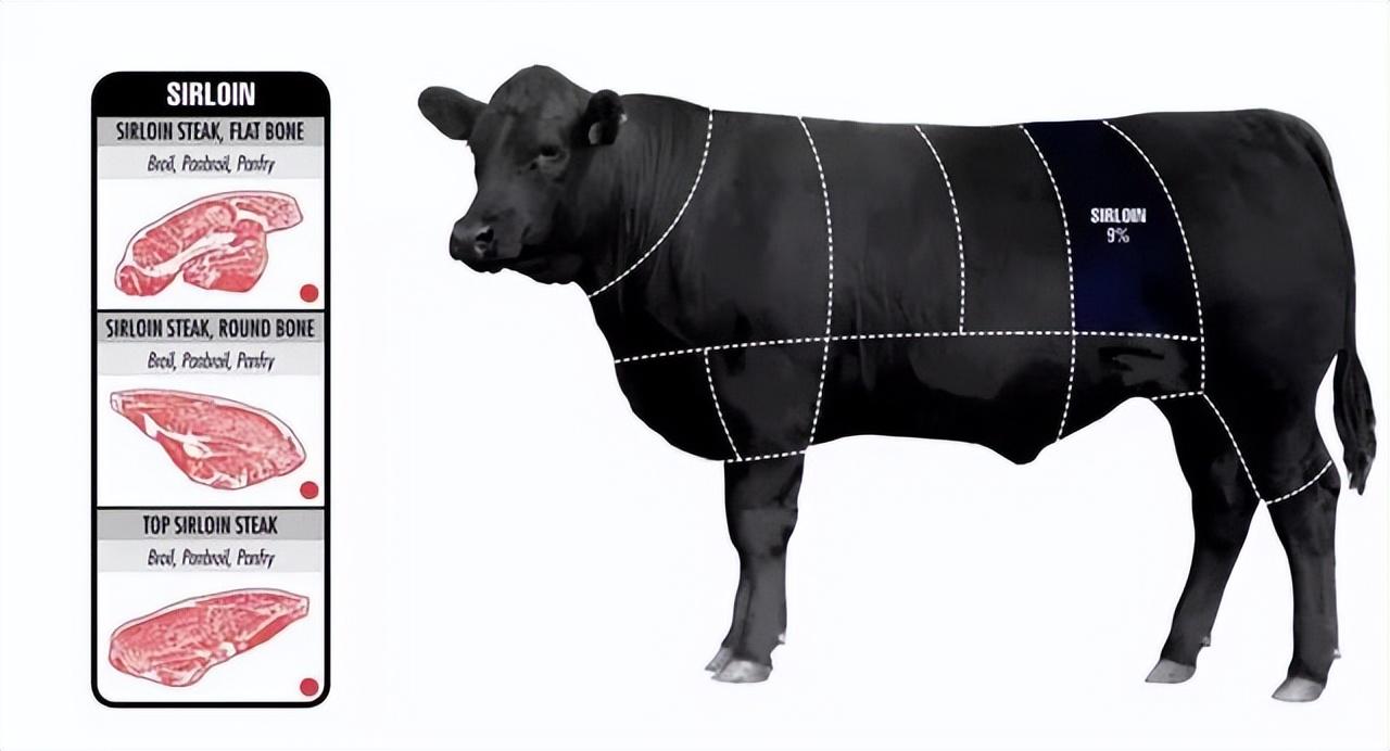 牛排肉是哪个部位的肉，那个部位的最好吃？