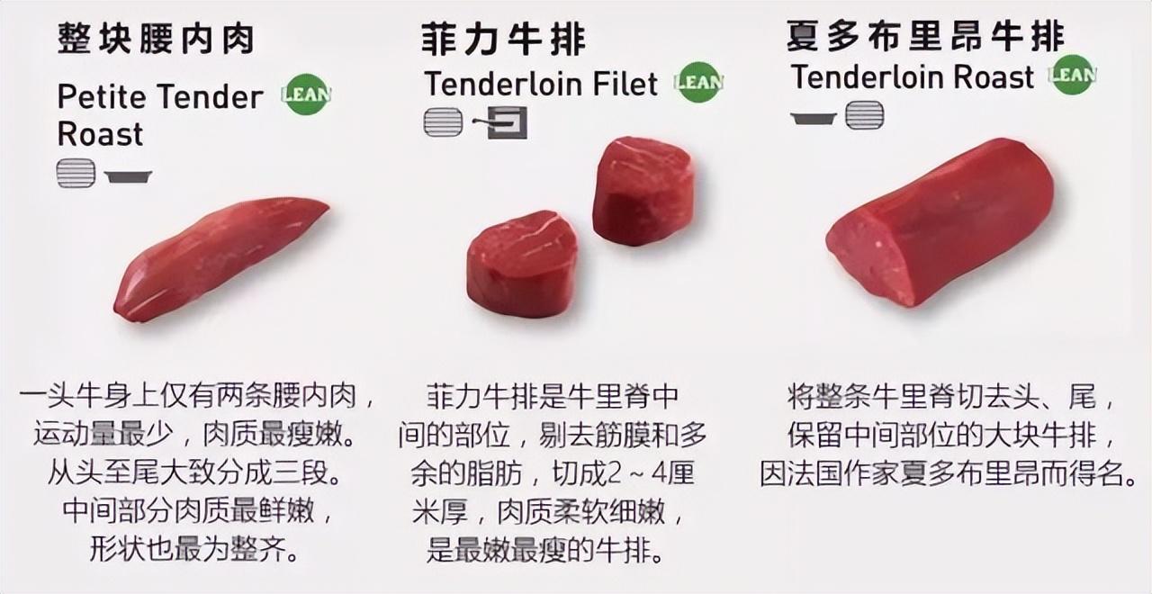 牛排肉是哪个部位的肉，那个部位的最好吃？