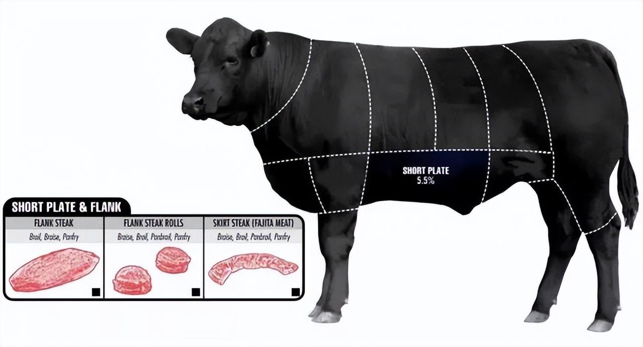 牛排肉是哪个部位的肉，那个部位的最好吃？