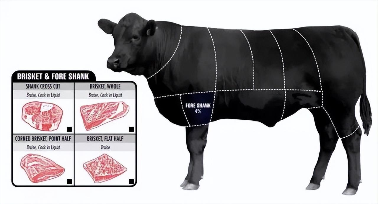 牛排肉是哪个部位的肉，那个部位的最好吃？