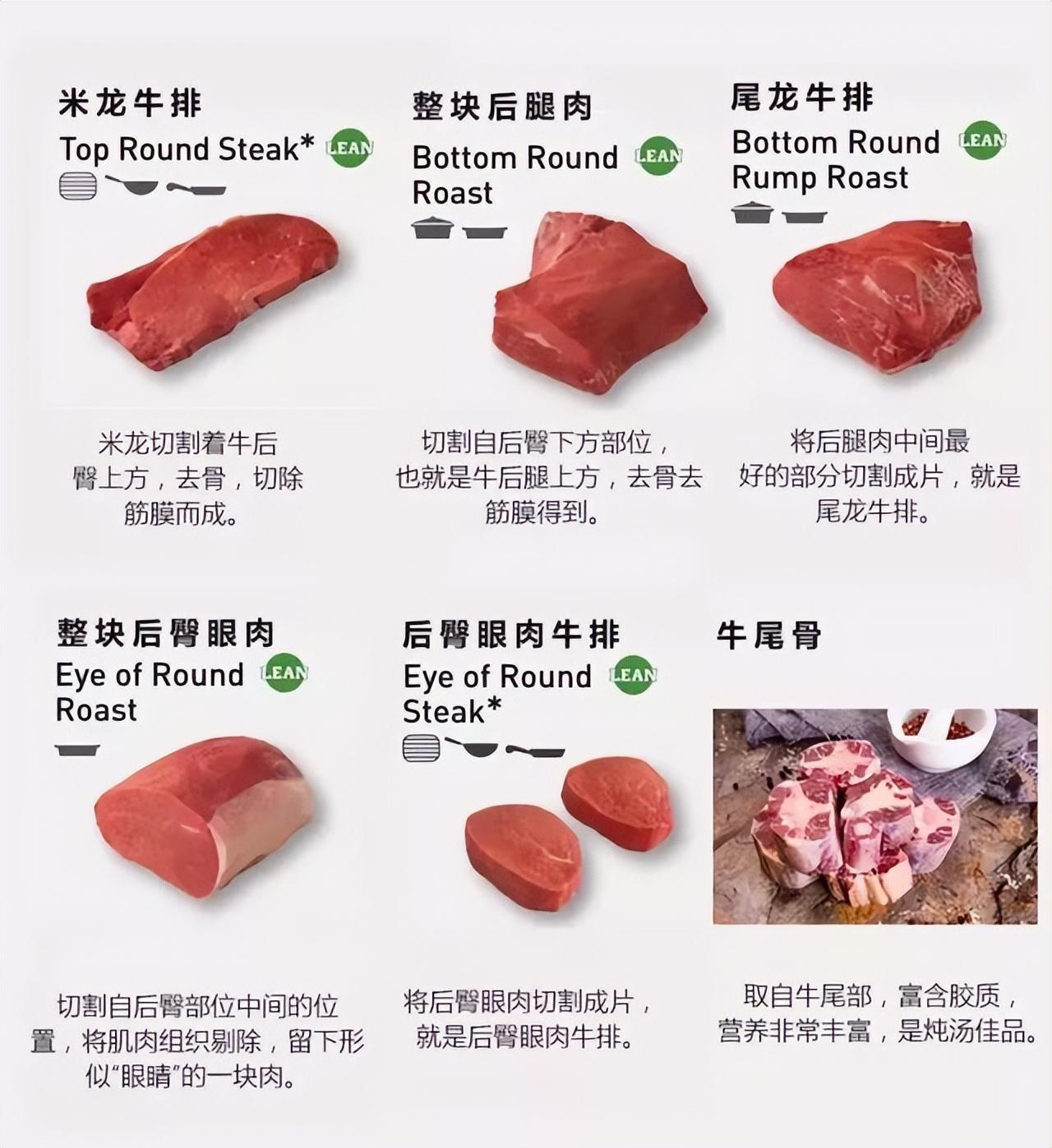 牛排肉是哪个部位的肉，那个部位的最好吃？