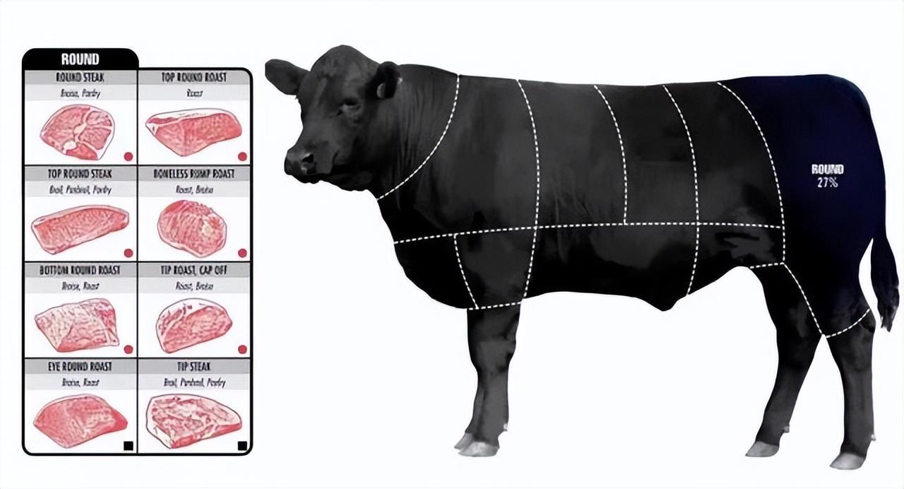 牛排肉是哪个部位的肉，那个部位的最好吃？