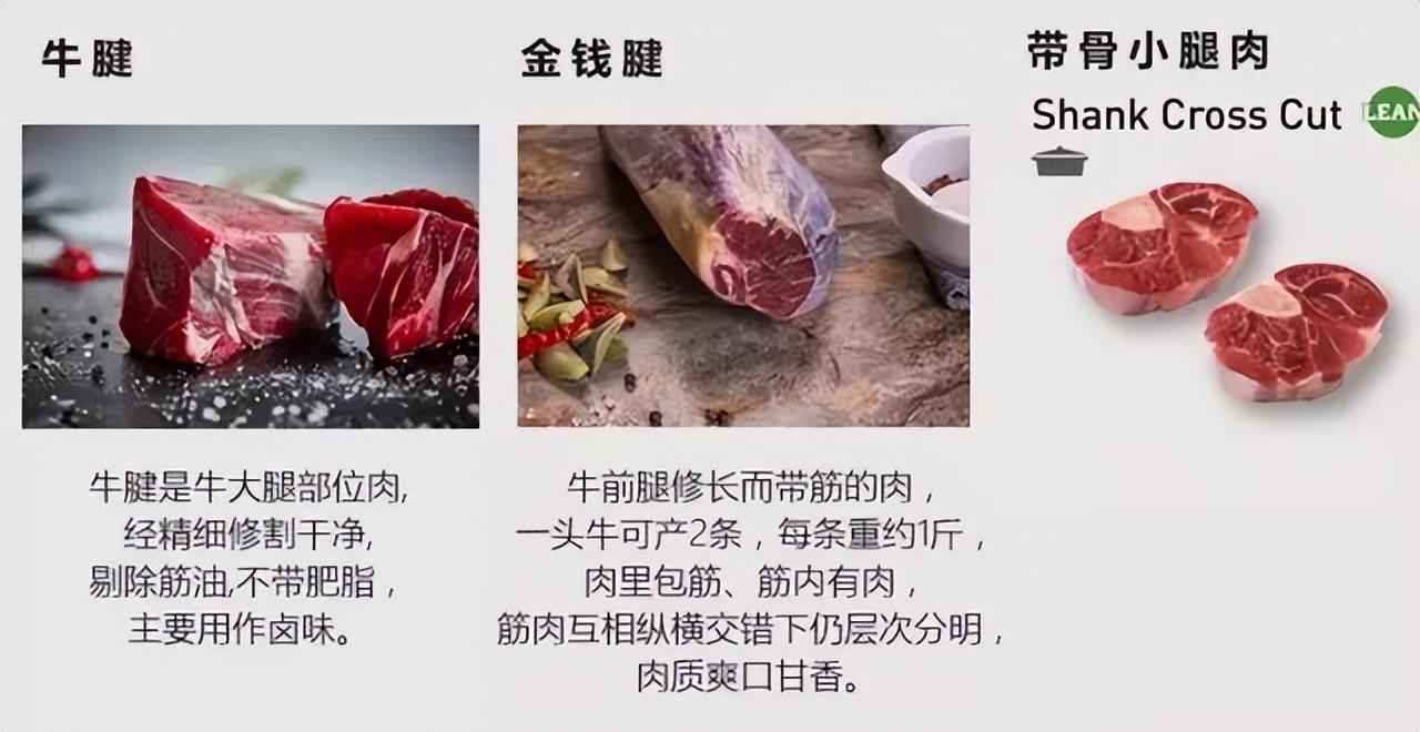 牛排肉是哪个部位的肉，那个部位的最好吃？