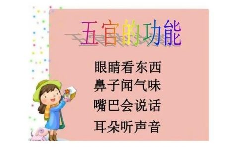 五官到底是哪五官？