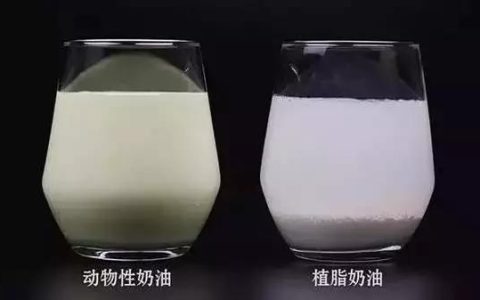 动物奶油是什么？动物奶油和植物奶油的区别