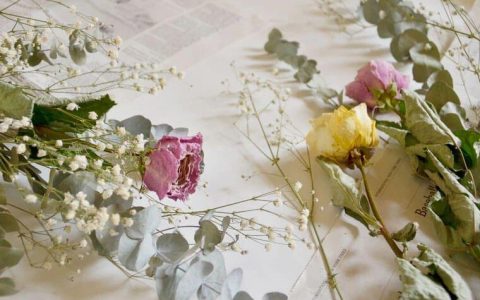 鲜花如何制作成干花？干花怎么制作