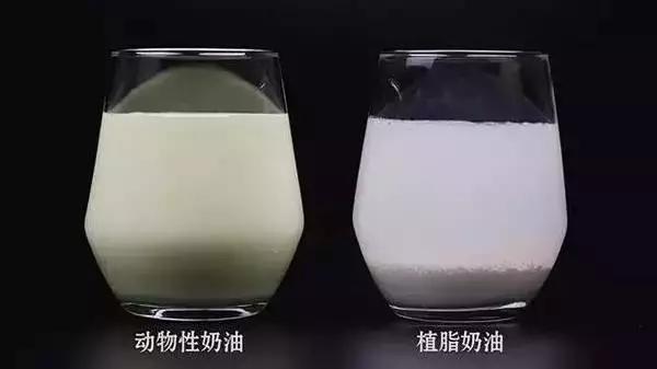 动物奶油是什么？动物奶油和植物奶油的区别