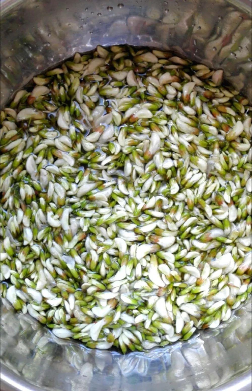槐花几月份开，槐花是吃开放的，还是未开放的？