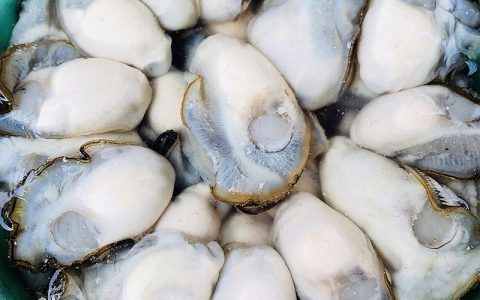 清水煮生蚝水开后要煮多久？生蚝怎么煮
