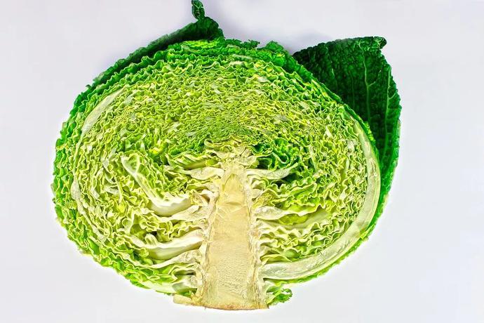 包菜里面要不要洗？包菜需要一片片洗吗